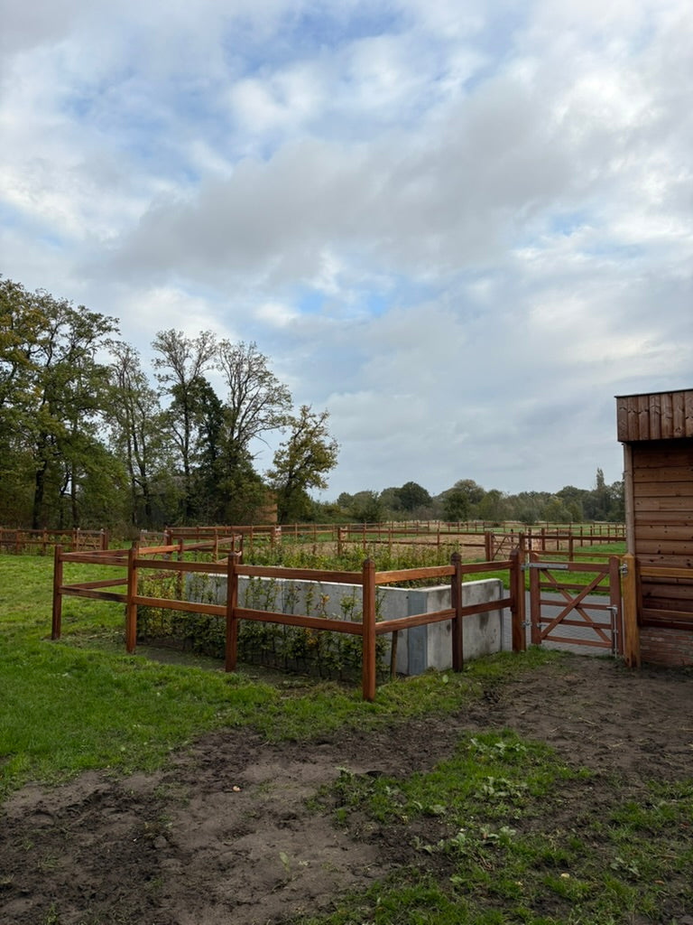 Paardenomheining OKAN - OKAN Liggers