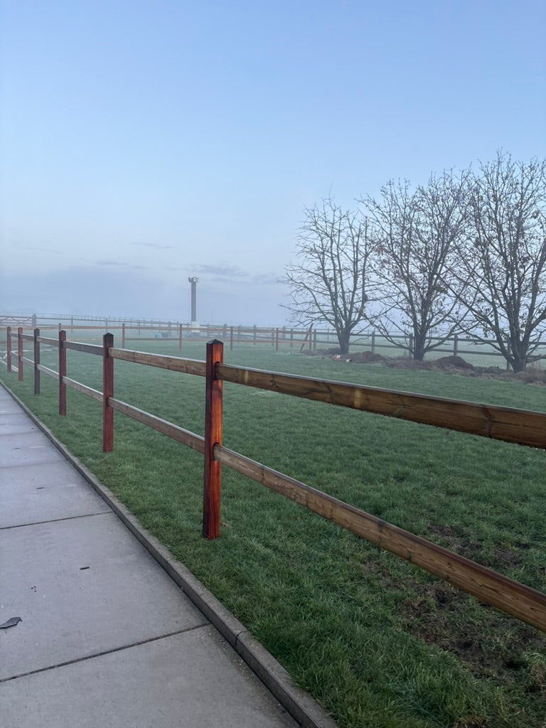 Paardenomheining OKAN met GRENEN Liggers