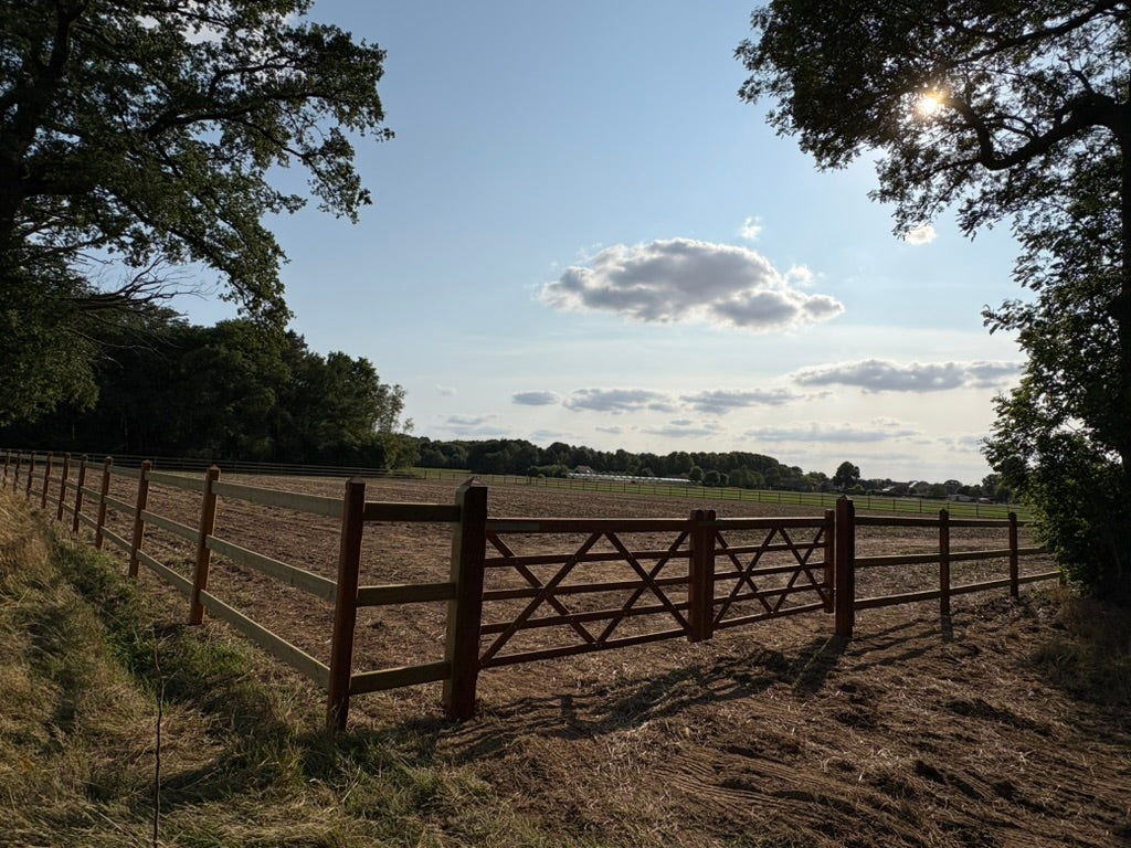 Paardenomheining OKAN met GRENEN Liggers