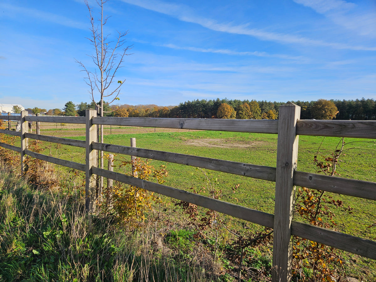 Clôture pour chevaux en pin avec poteaux carrés