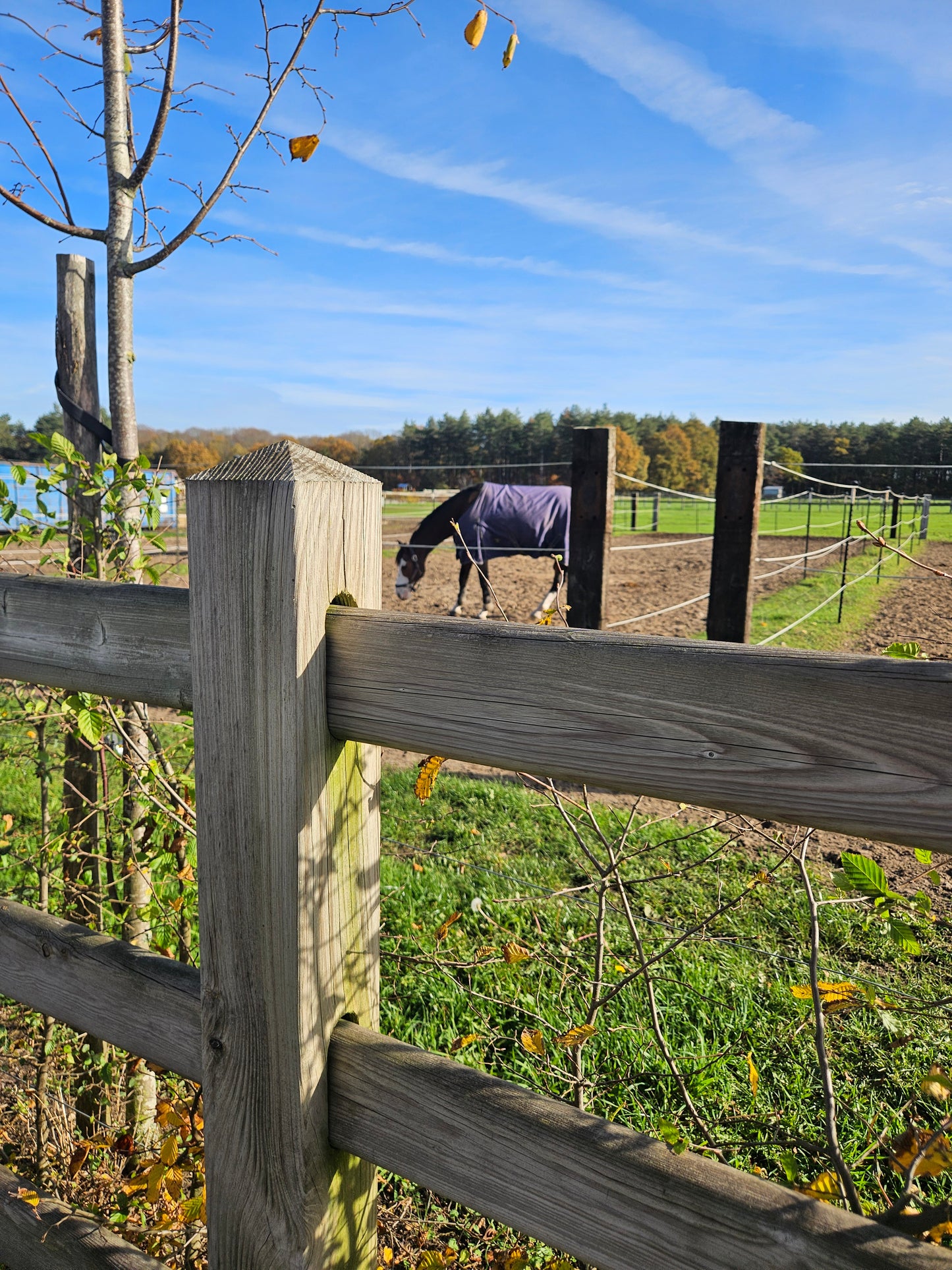 Clôture pour chevaux – Sur mesure (prix sur demande)