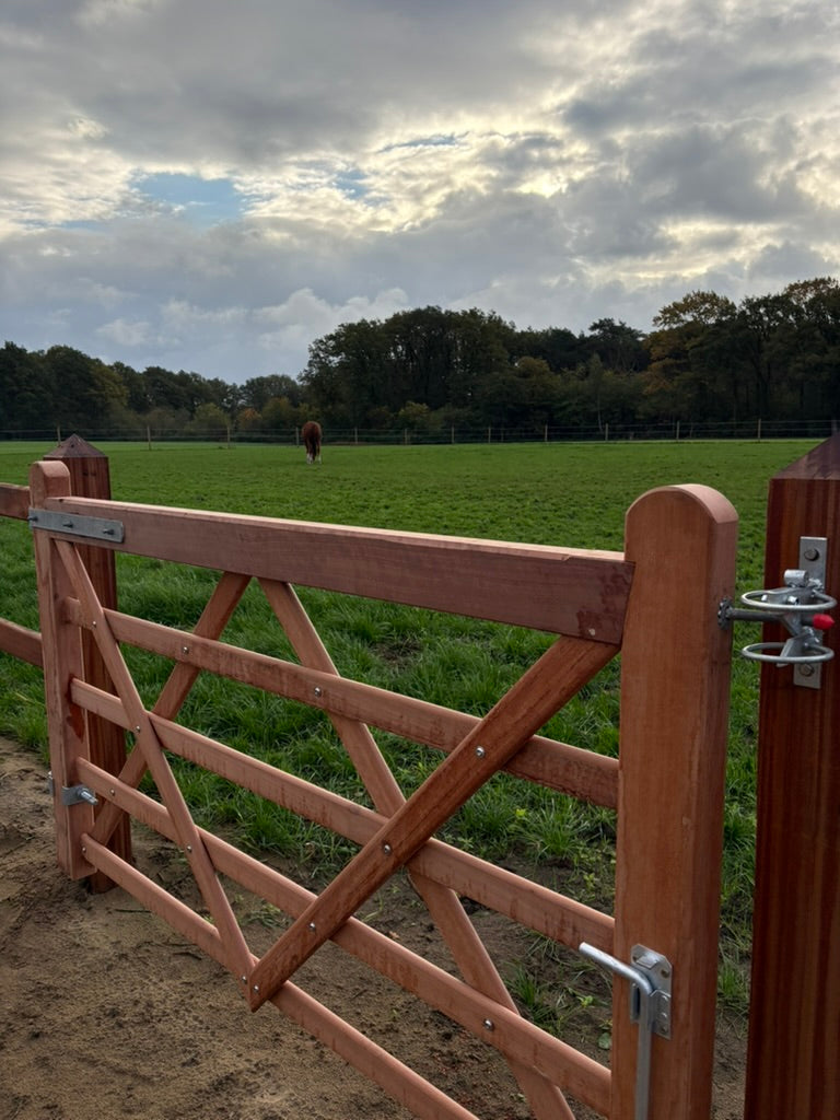 Weidepoort MOABI - English