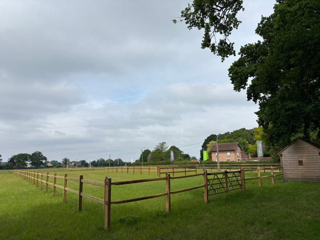 Post & Rail - Robinia