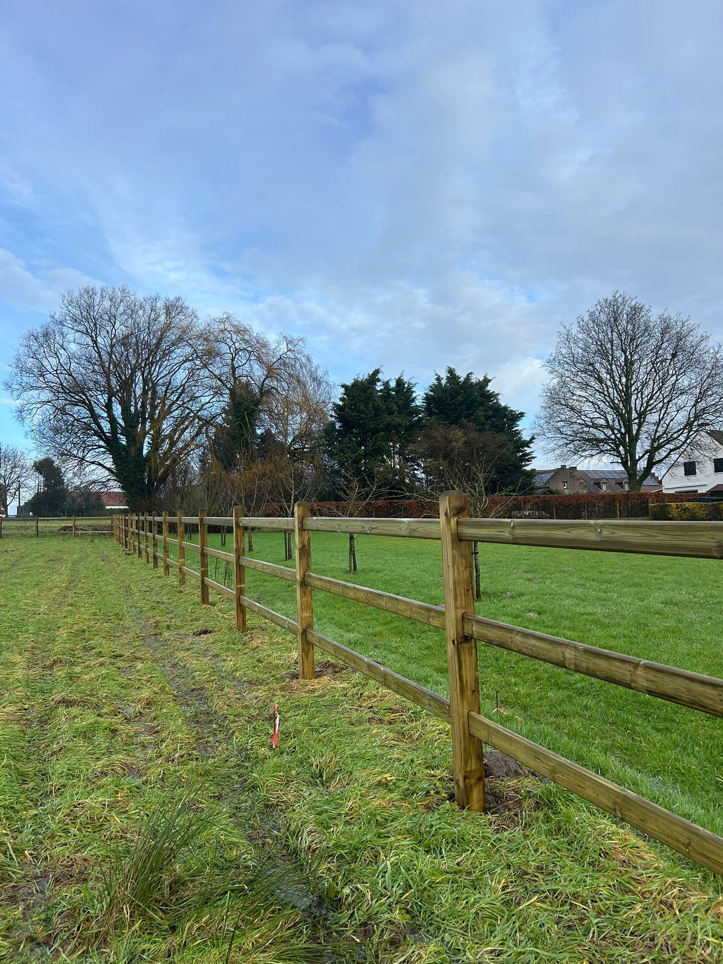 Clôture pour chevaux avec poteaux carrés en bois d'épicéa