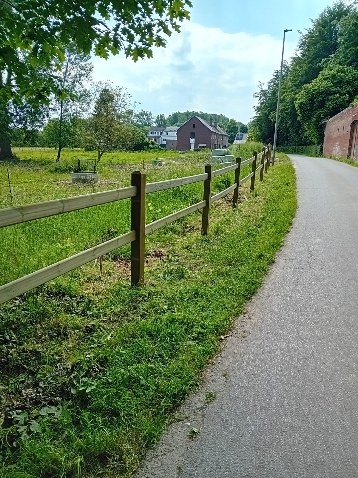 Clôture pour chevaux en pin avec poteaux carrés