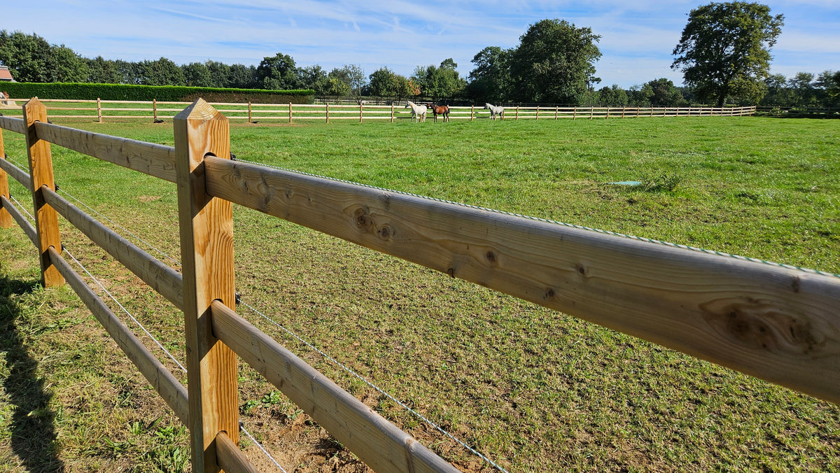 Clôture pour chevaux en pin avec poteaux carrés