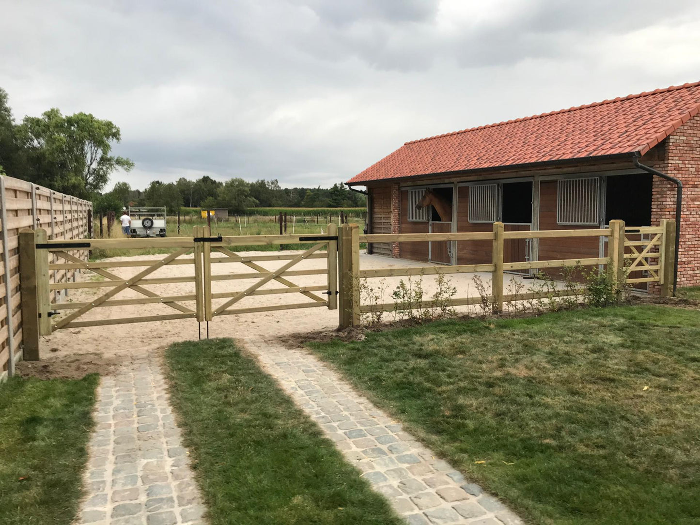 Clôture pour chevaux en pin avec poteaux carrés