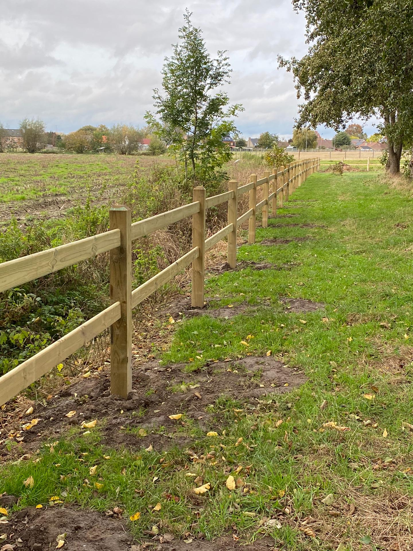 Clôture pour chevaux en pin avec poteaux carrés