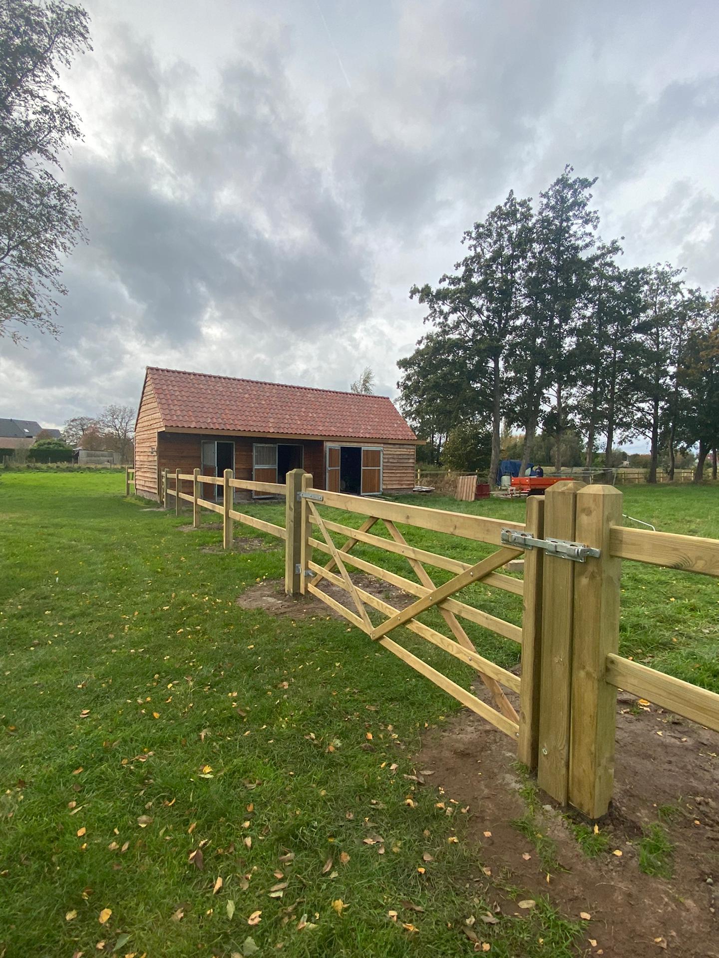 Clôture pour chevaux en pin avec poteaux carrés